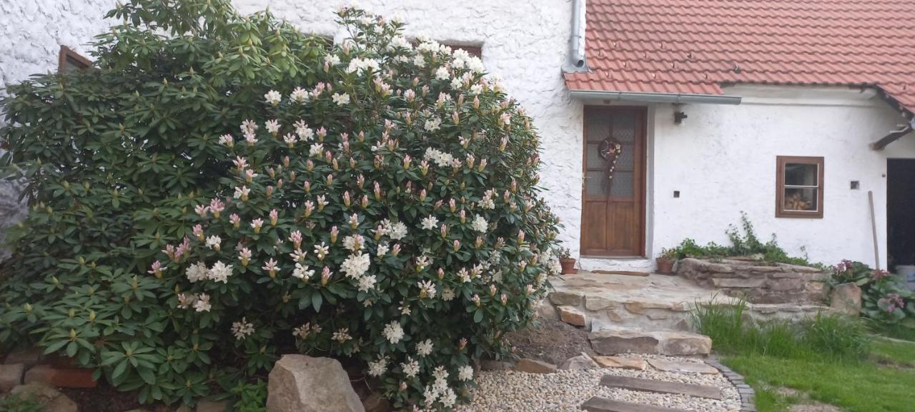 Holiday home Na Placku